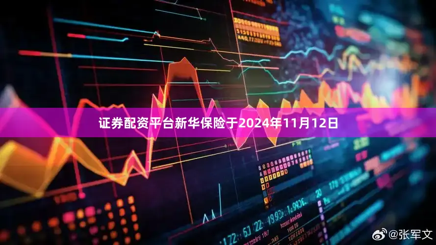 证券配资平台新华保险于2024年11月12日