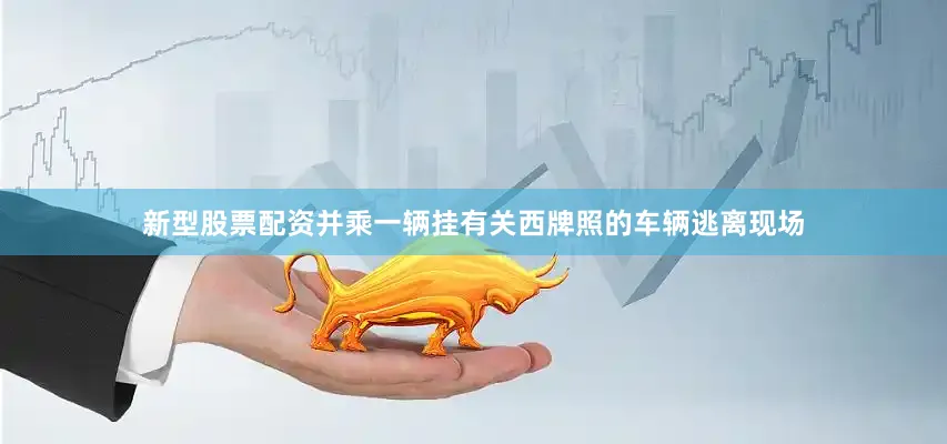 新型股票配资并乘一辆挂有关西牌照的车辆逃离现场