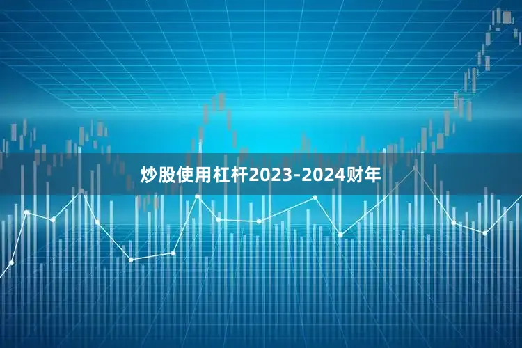炒股使用杠杆2023-2024财年
