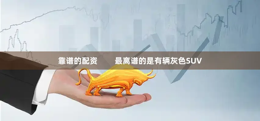 靠谱的配资        最离谱的是有辆灰色SUV